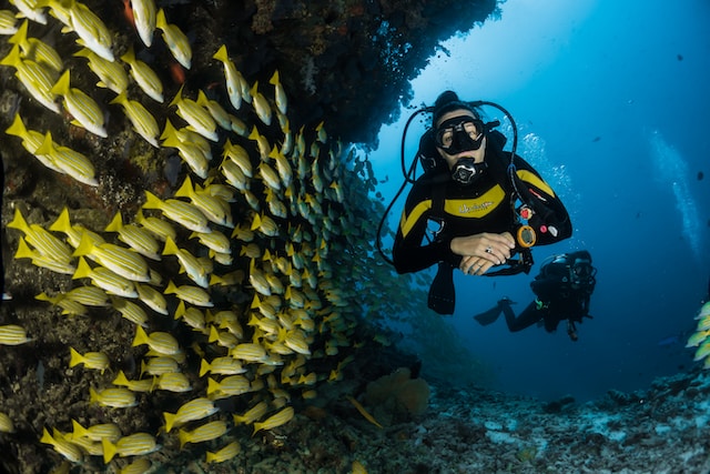 Scuba diver photographing reef life in the northern Aegean Sea